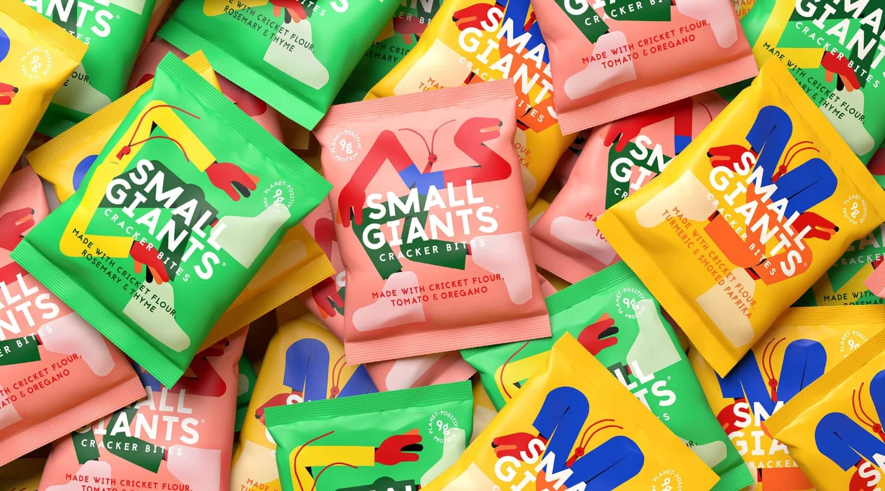 Small Giants - Case Study
