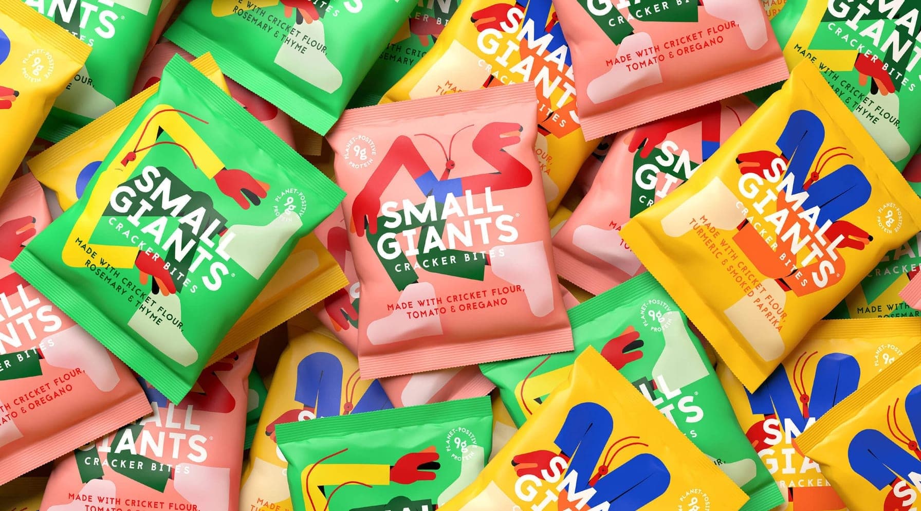 Small Giants - Case Study