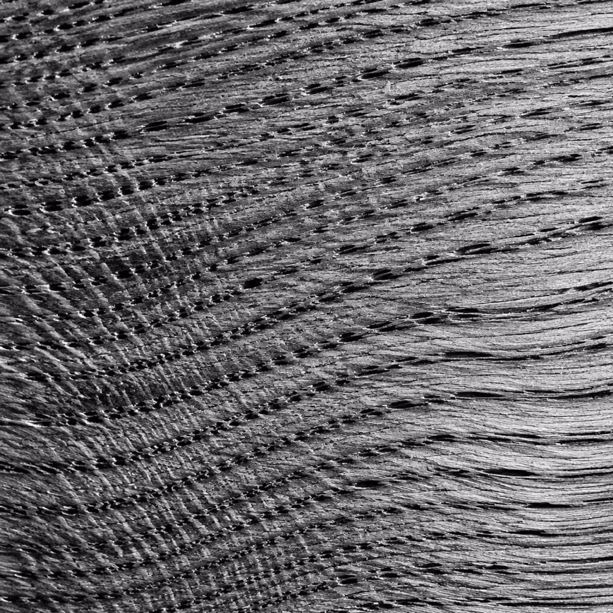 Macro in bianco e nero della venatura di una tavola di rovere