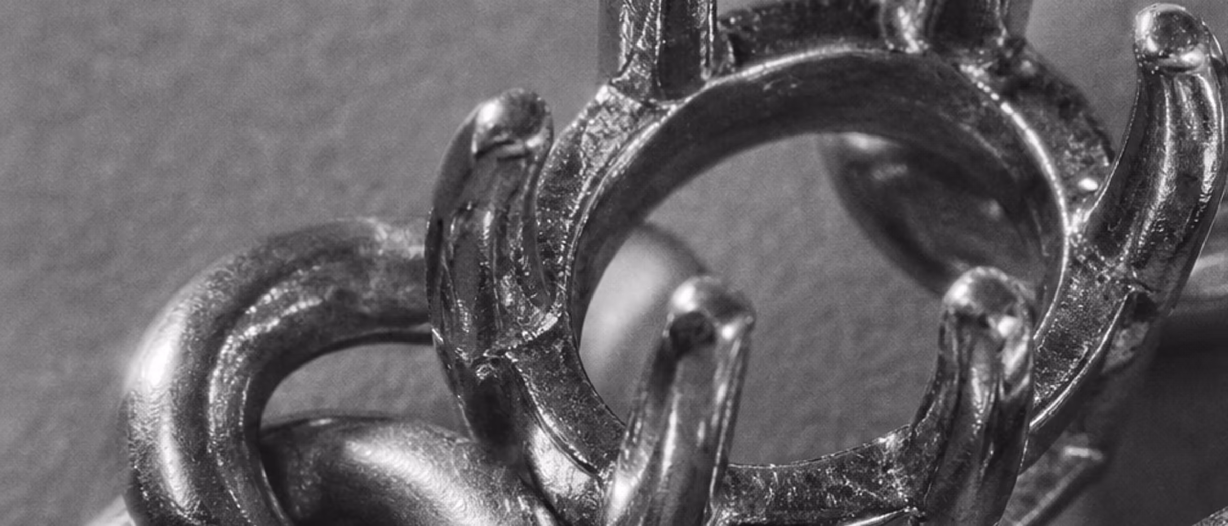 Macro in bianco e nero di maglie di catena e una griffe
